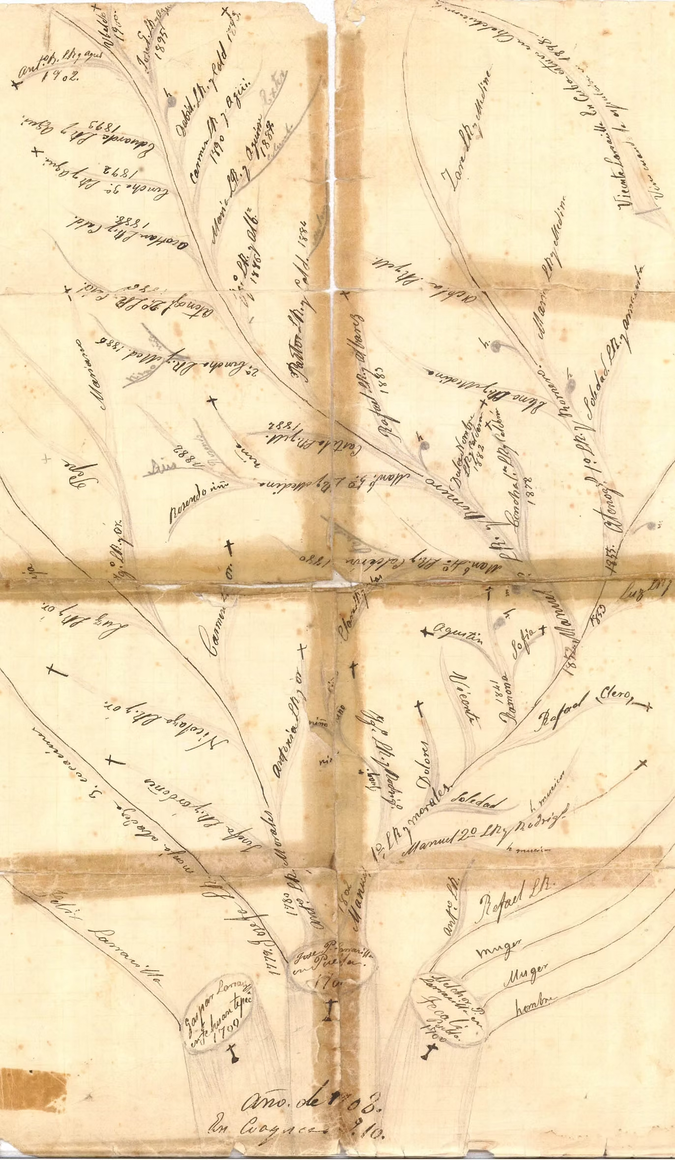 Árbol genealógico manuscrito de 1908, Joseph Pérez de la Rasilla, por Manuel Lucas Larracilla Romero